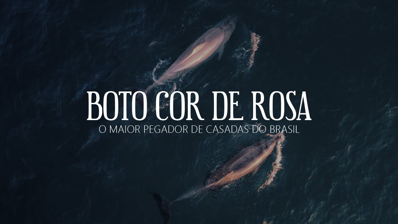 Boto Cor de Rosa | Mocumentário